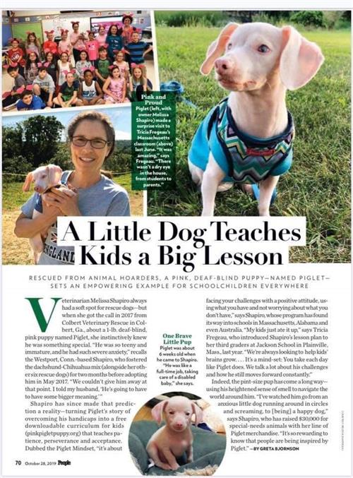 Piggy Article Piggy Article